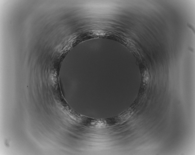 X0000100890559200807011159