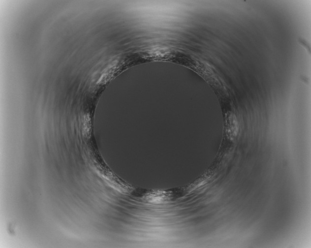 X0000100890563200807011200