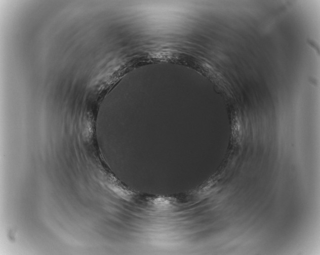 X0000100890566200807011200
