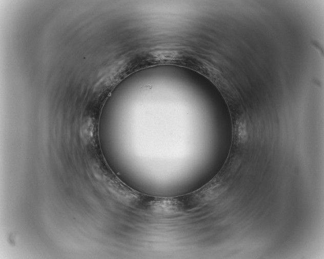 X0000100890567200807011200