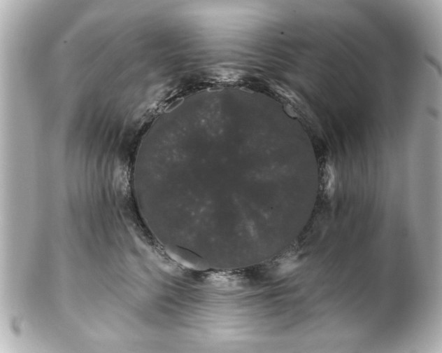 X0000100890568200807011200