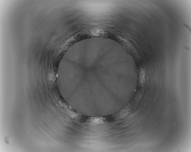 X0000100890569200807011200