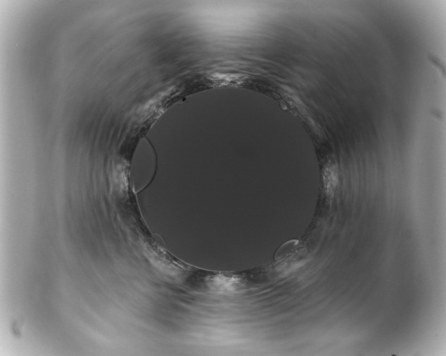 X0000100890570200807011200