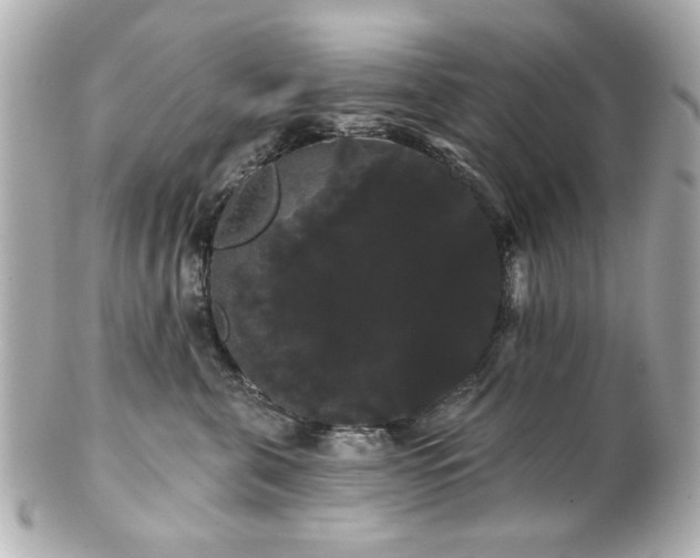 X0000100890571200807011200