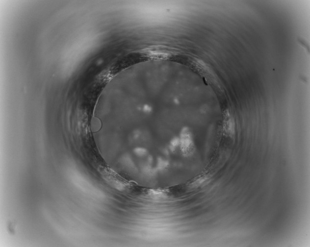X0000100890573200807011200