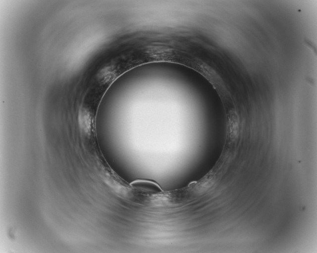 X0000100890574200807011200