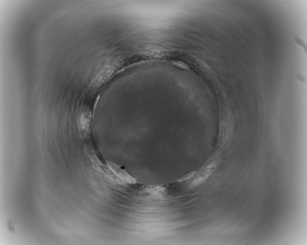 X0000100890576200807011200
