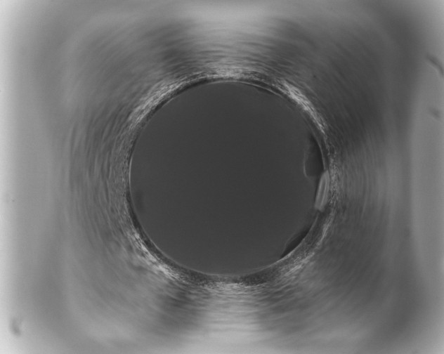 X0000100890577200807011159