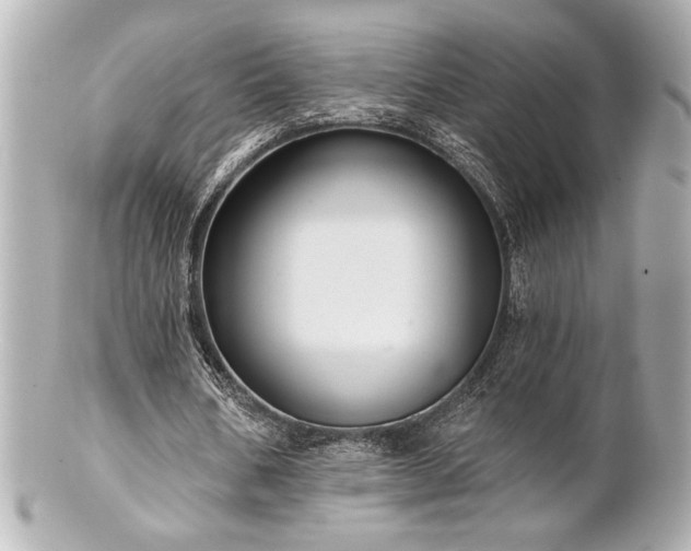 X0000100890578200807011159