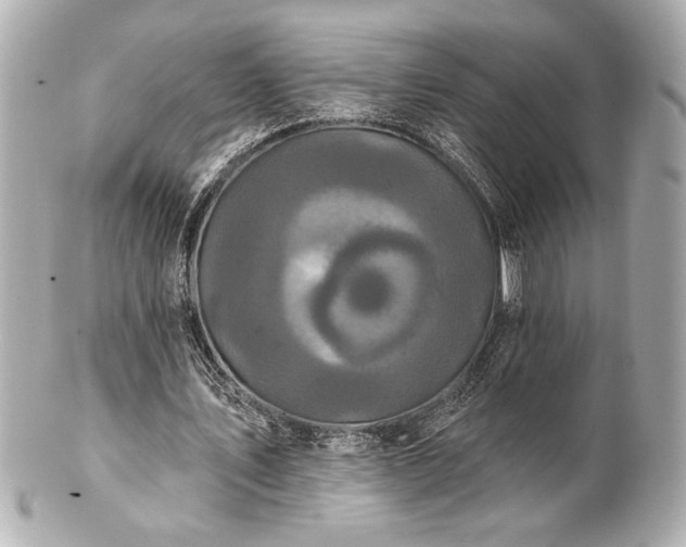 X0000100890579200807011159