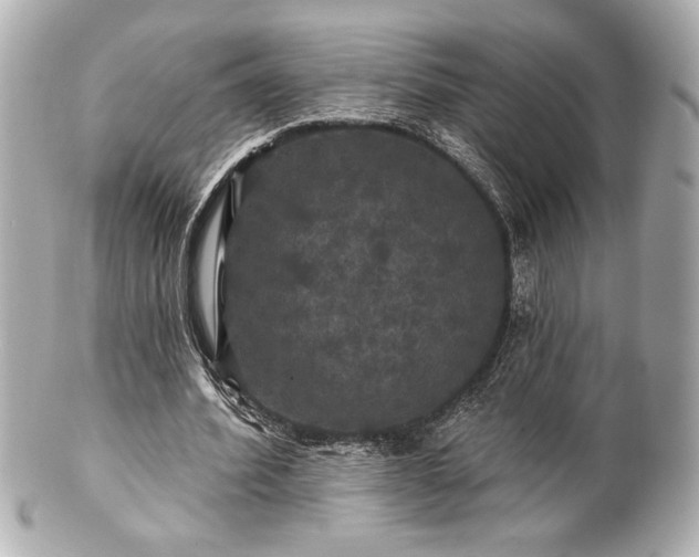 X0000100890580200807011159