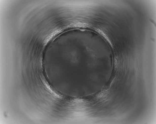 X0000100890581200807011159