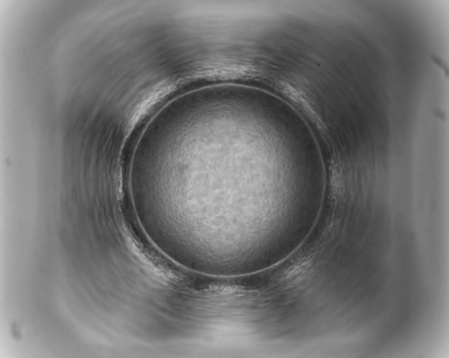 X0000100890582200807011159