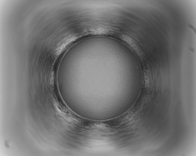 X0000100890583200807011159