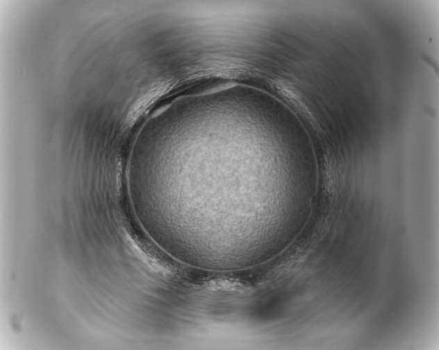 X0000100890586200807011159