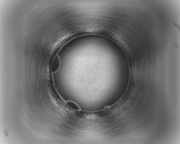 X0000100890587200807011159