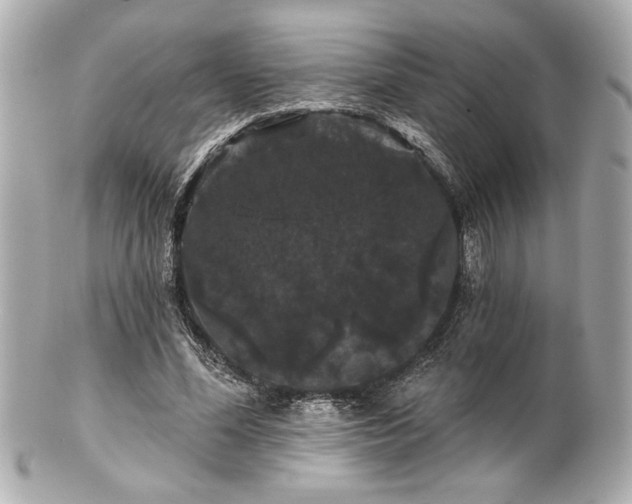X0000100890588200807011159