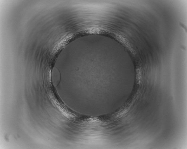 X0000100890589200807011159