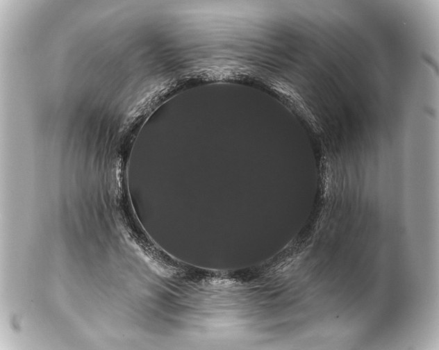 X0000100890590200807011159