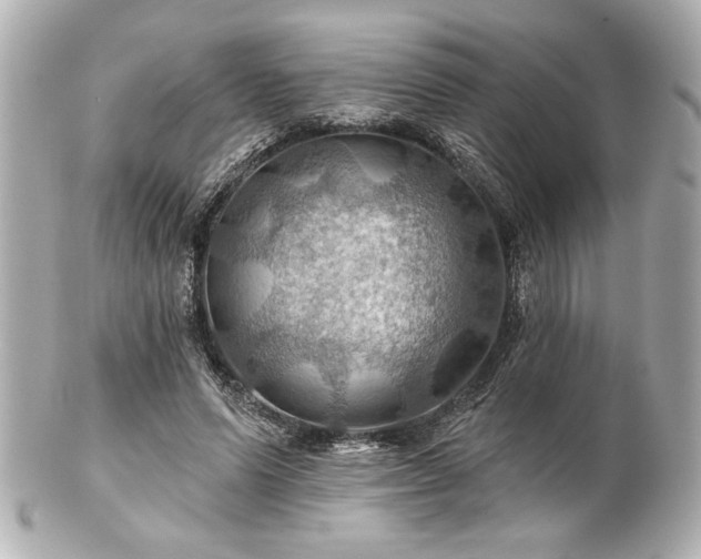 X0000100890591200807011159