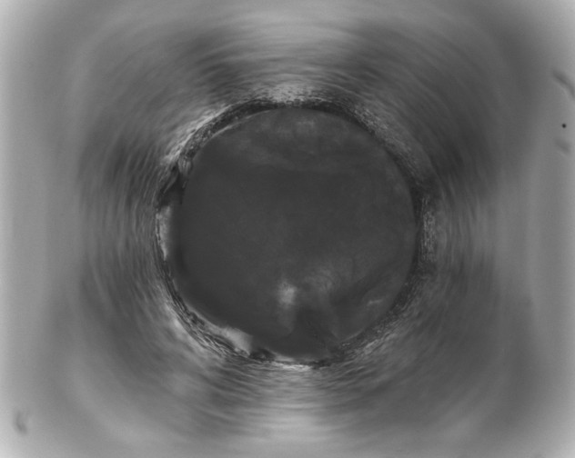 X0000100890592200807011159