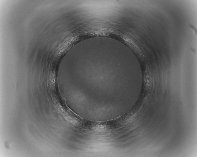 X0000100890593200807011159