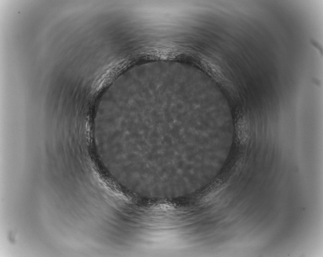 X0000100890594200807011159