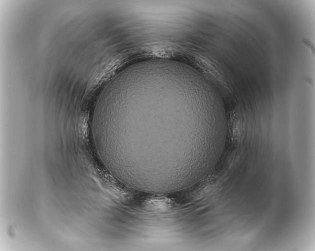 X0000100890595200807011159