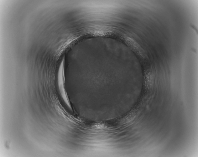 X0000100890596200807011159