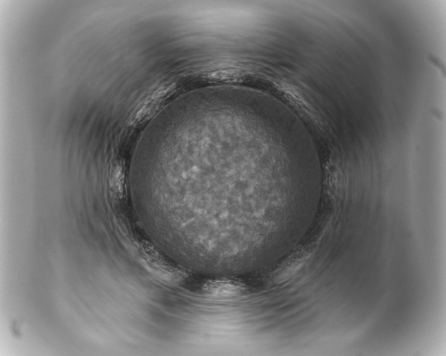 X0000100890597200807011159