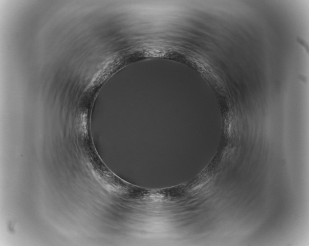 X0000100890598200807011159