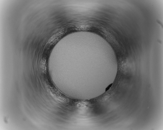 X0000100890599200807011159