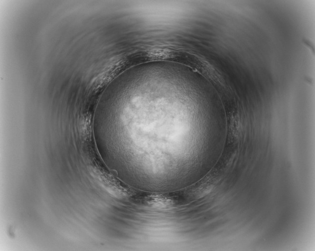 X0000100890601200807011159
