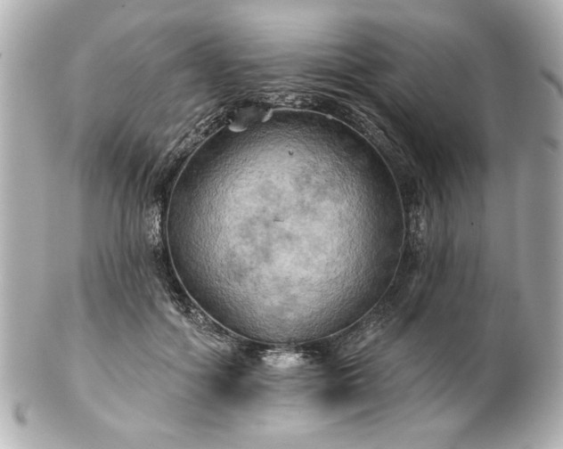 X0000100890602200807011159