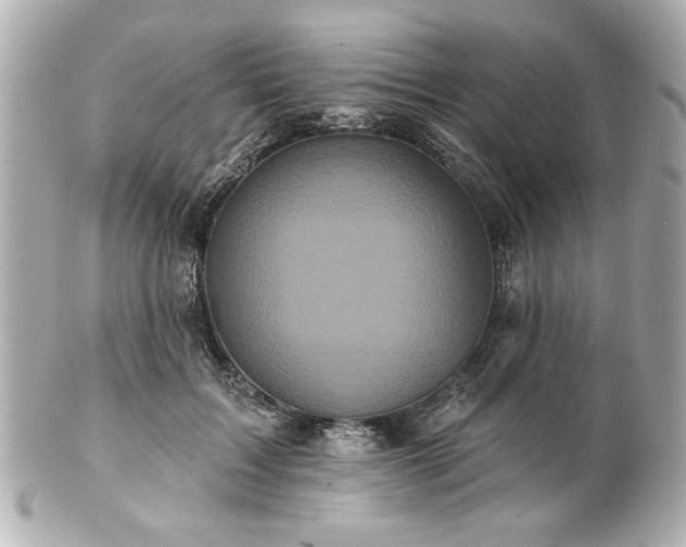X0000100890603200807011159