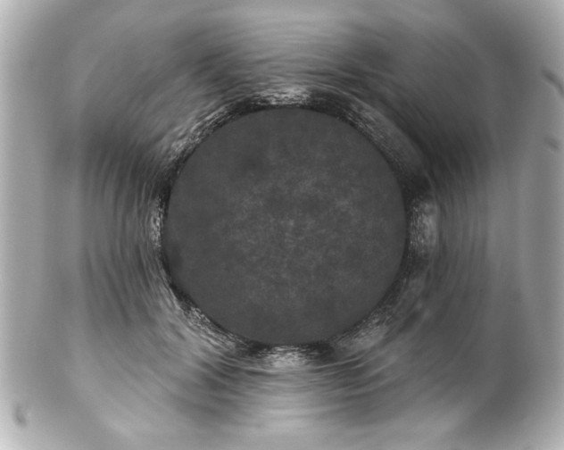 X0000100890604200807011159