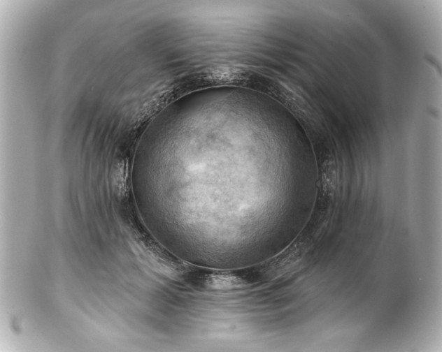 X0000100890605200807011159