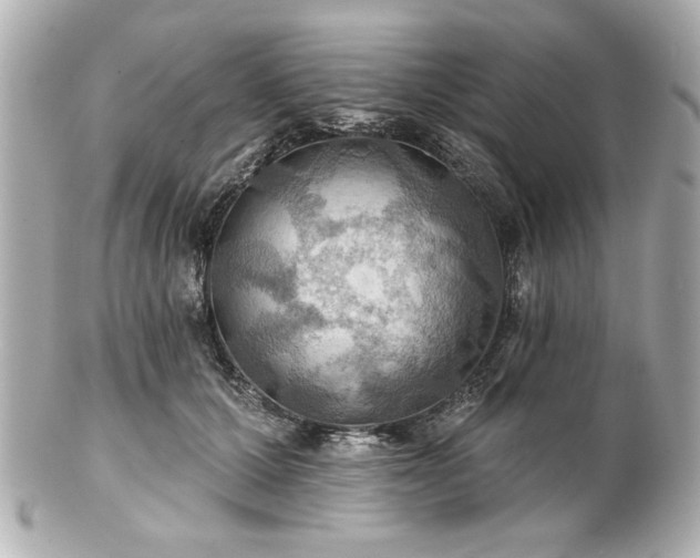 X0000100890607200807011159