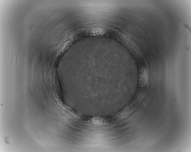 X0000100890608200807011159