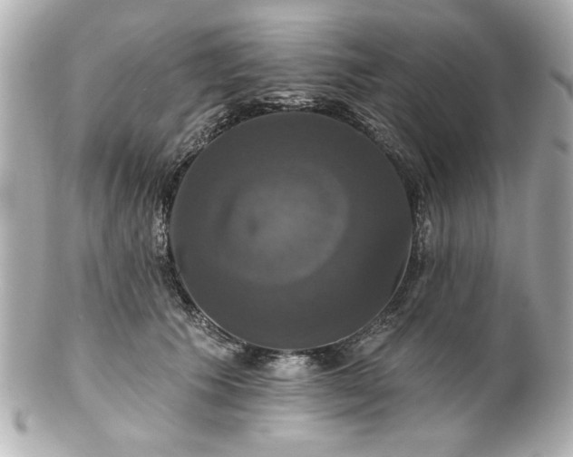 X0000100890609200807011159