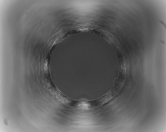 X0000100890610200807011159