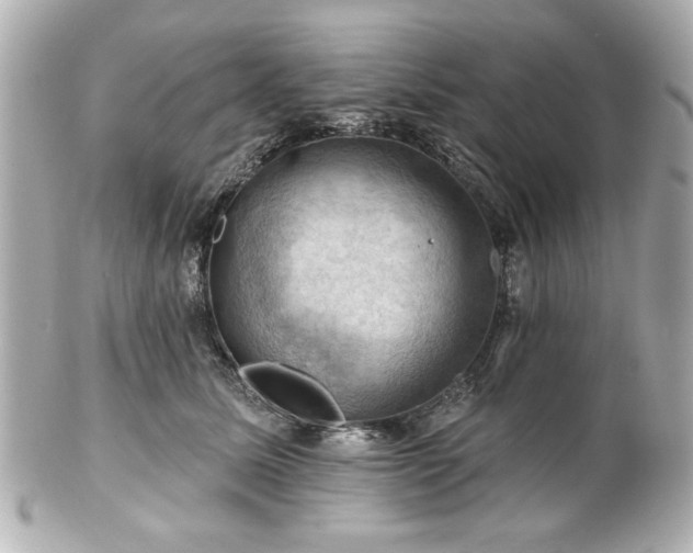 X0000100890611200807011159