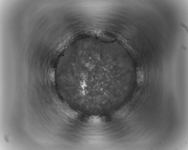 X0000100890613200807011158
