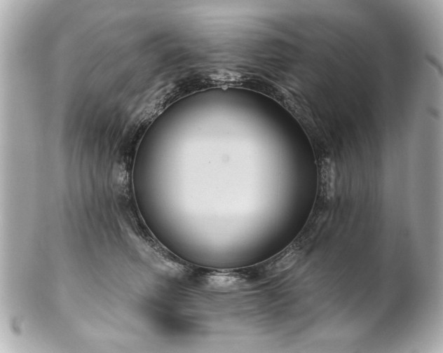 X0000100890614200807011158