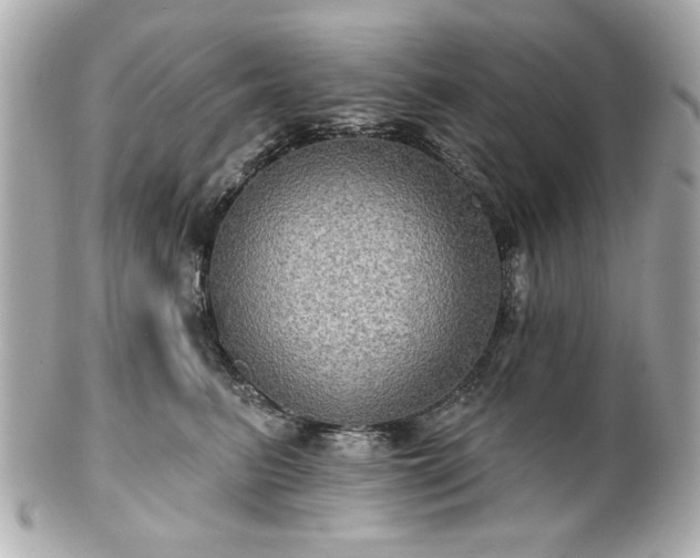 X0000100890615200807011158