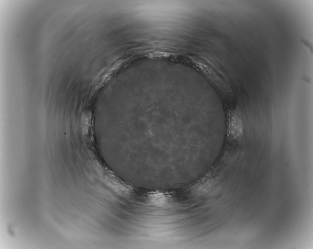 X0000100890616200807011158