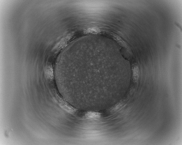 X0000100890617200807011158