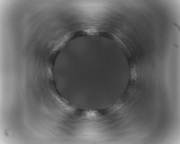 X0000100890618200807011158