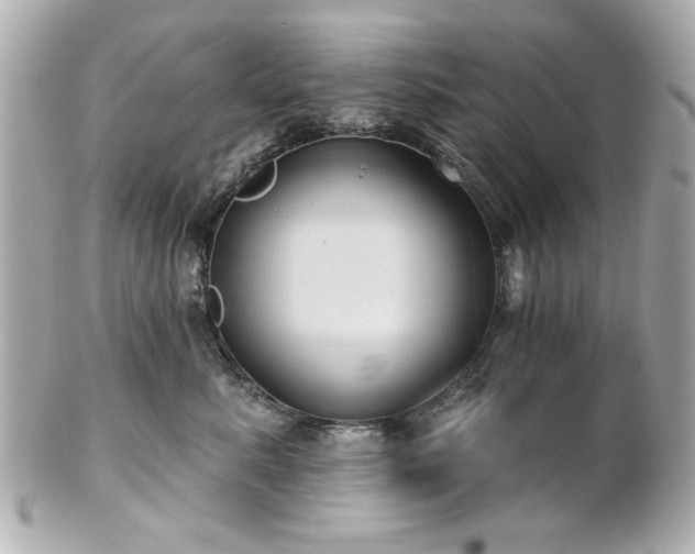 X0000100890619200807011158