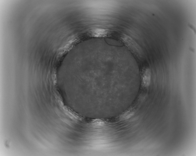X0000100890620200807011158